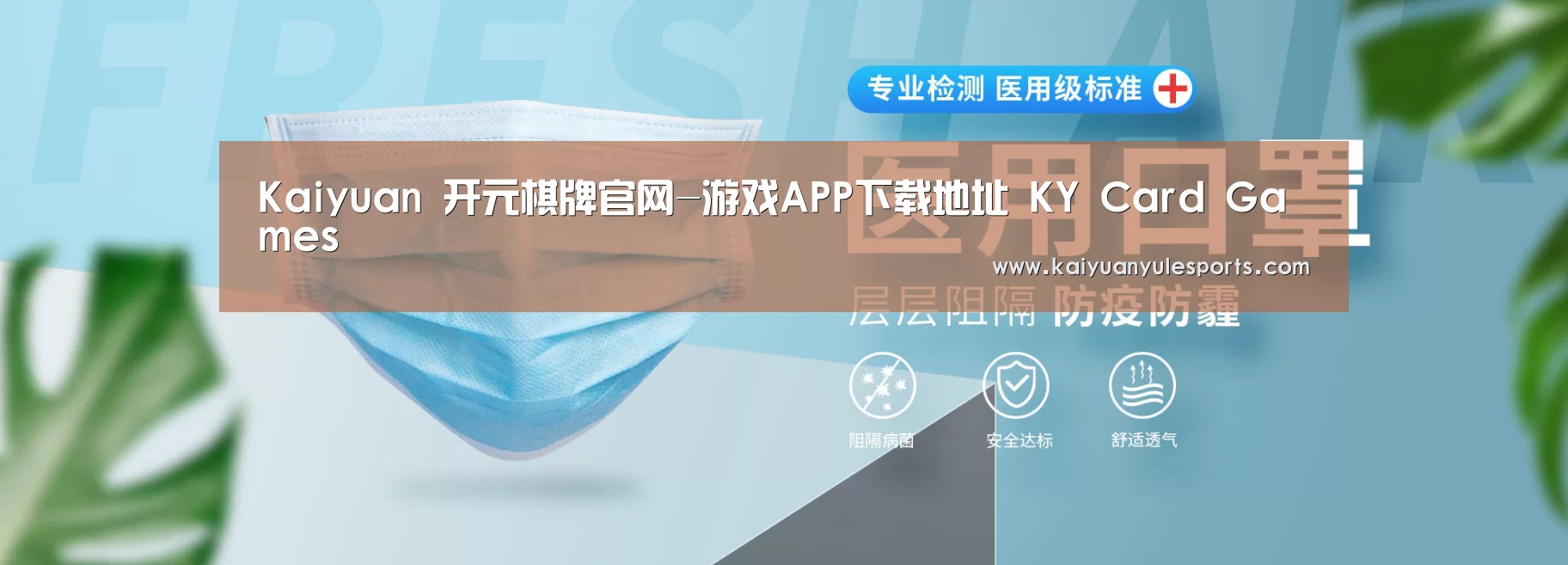 某某口罩防护用品有限公司